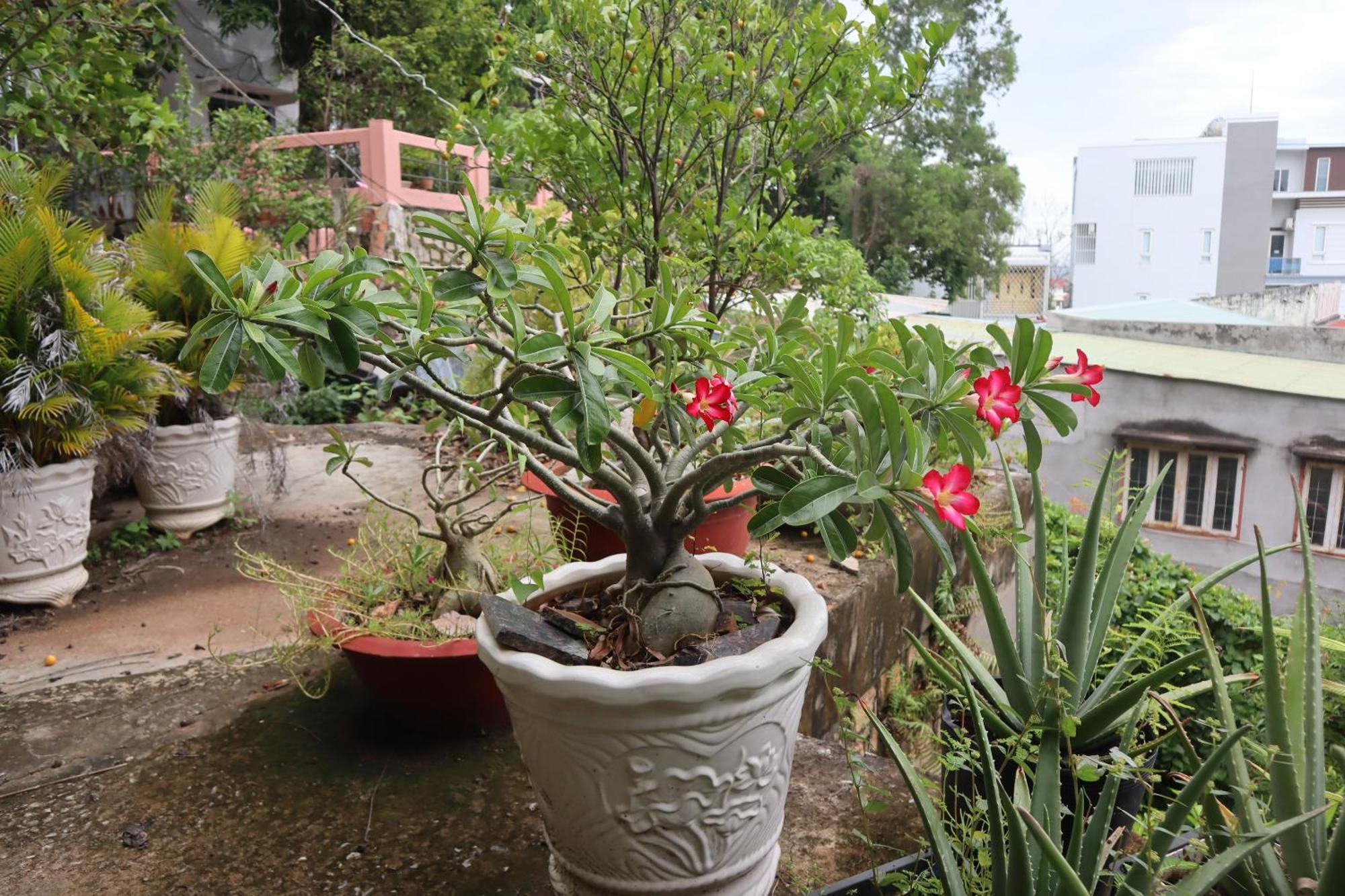 Cassabella Hotel & Apartments Vung Tau Exterior foto